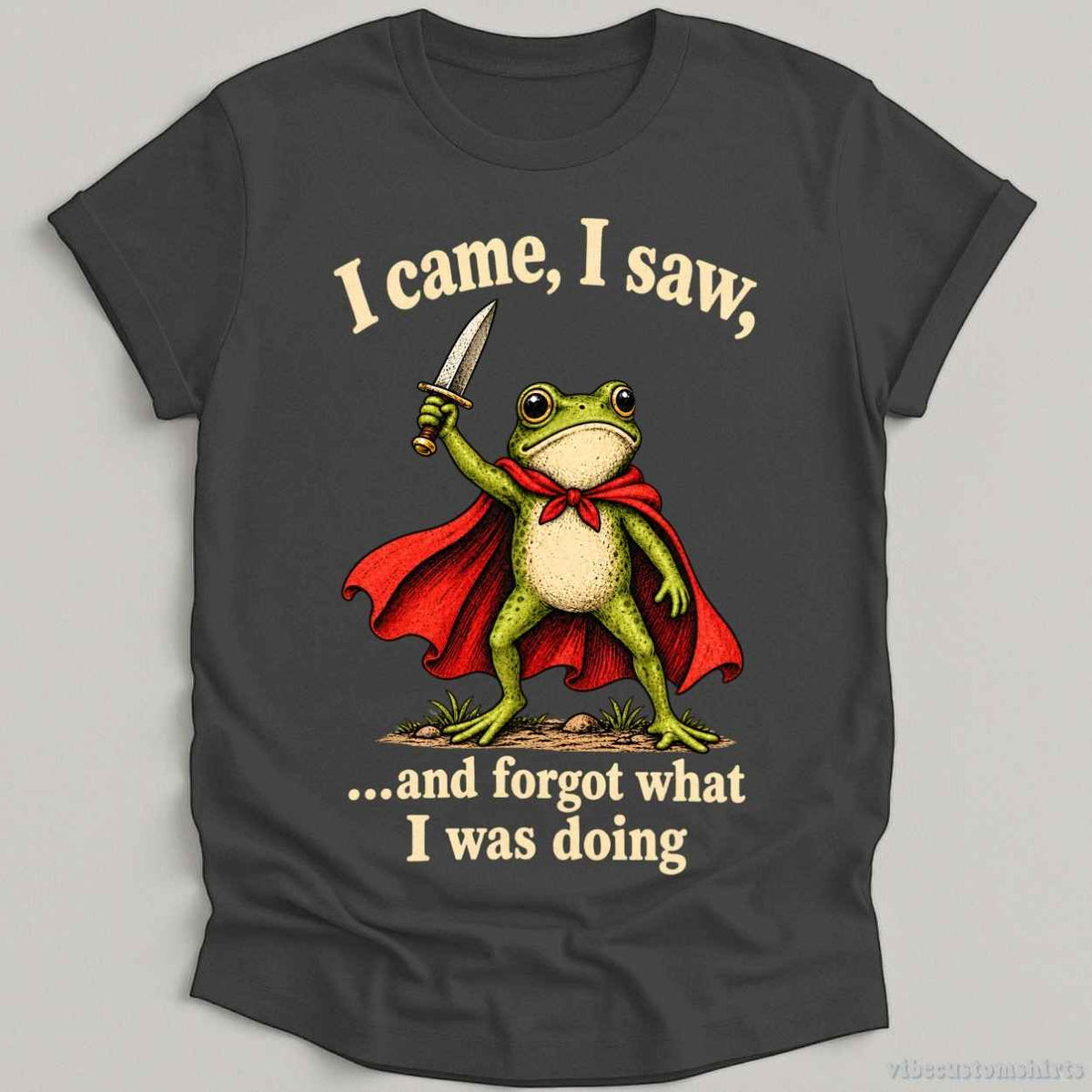 I Came I Saw And Forgot What I Was Doing Frog T-shirt graphic design — view 2